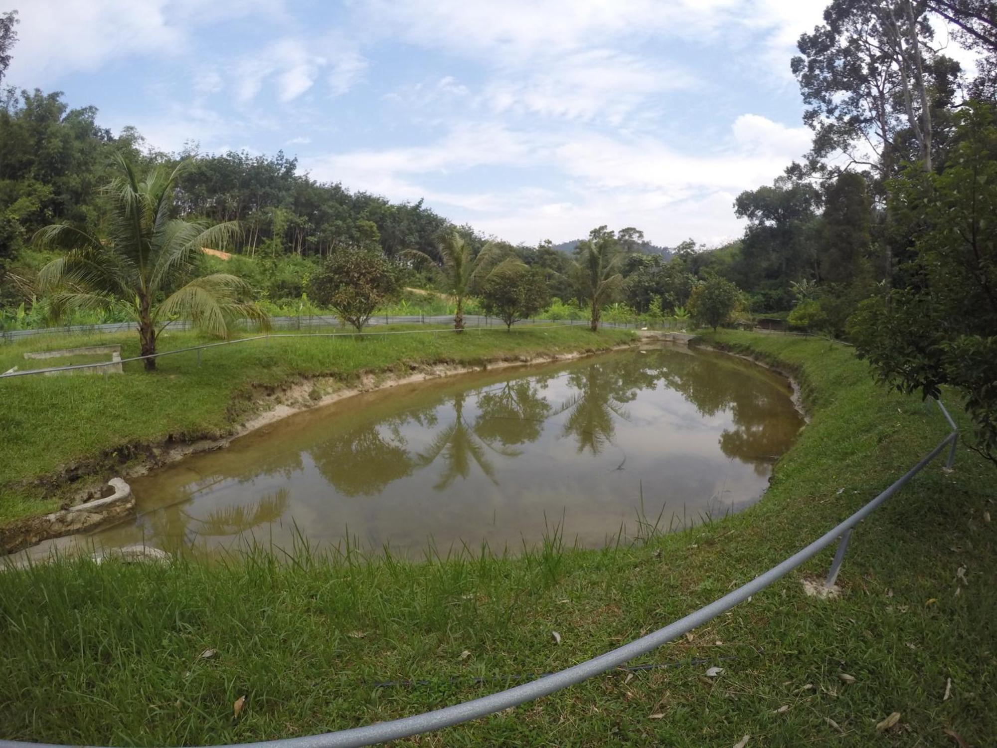 Santai De Lui Resorts Kampong Masjid  Exteriör bild